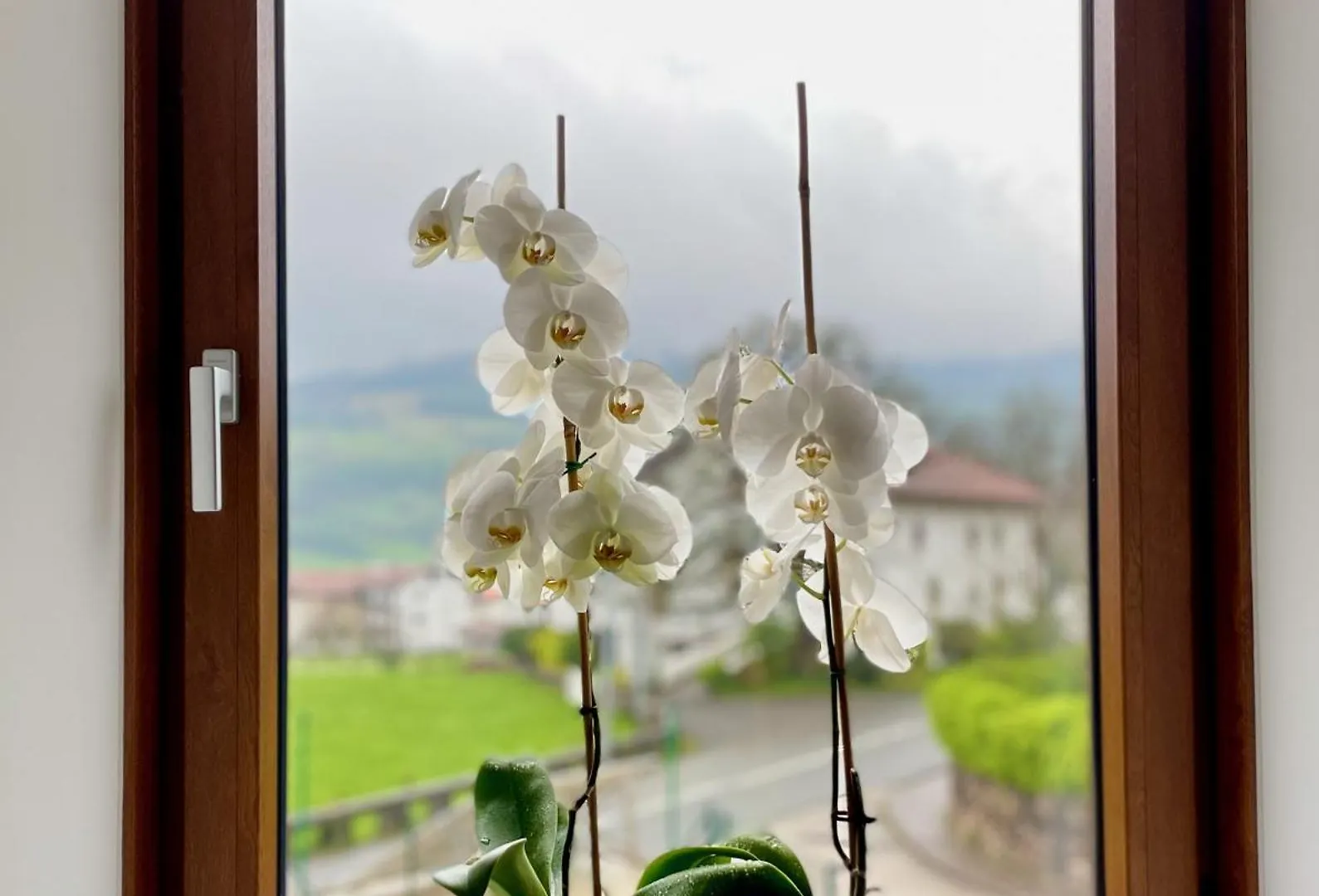 乡村民宿 Berástegui Matxiku Aurre旅馆